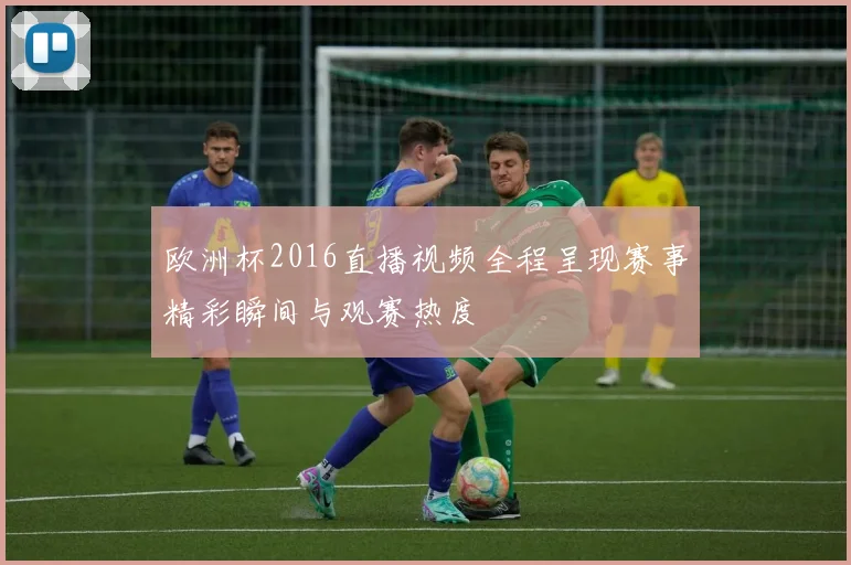 欧洲杯2016直播视频全程呈现赛事精彩瞬间与观赛热度