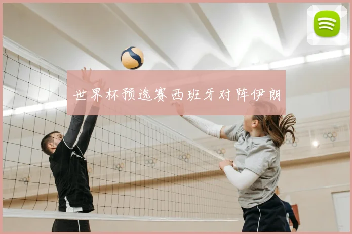 世界杯预选赛西班牙对阵伊朗