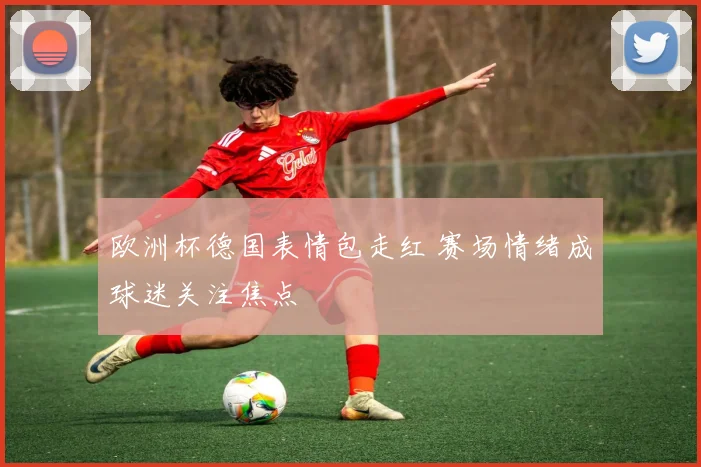 欧洲杯德国表情包走红 赛场情绪成球迷关注焦点