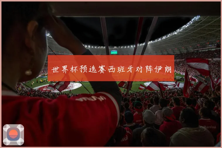 世界杯预选赛西班牙对阵伊朗