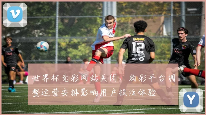 世界杯竞彩网站关闭,购彩平台调整运营安排影响用户投注体验