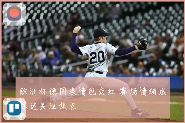 欧洲杯德国表情包走红 赛场情绪成球迷关注焦点