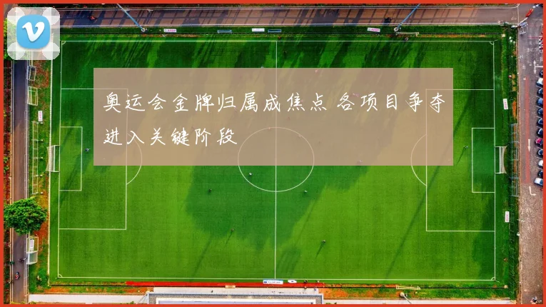 奥运会金牌归属成焦点 各项目争夺进入关键阶段